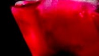 Potrebujeme: 1 kávová lyžička kryštálového cukru, 3 cl citrónovej šťavy, 3 cl ginu, 3 cl bacardi Postup: Do šejkra dáme ľad, uvedené ingrediencie, dobre potrasieme a nalejeme do pohárov. Ilustračné...