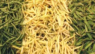 Varené fazuľové struky so strúhankou Potrebujeme: 800 g žltých fazuľových strukov, 4 lyžice masla, 3 lyžice strúhanky, voda, soľ Postup: Do osolenej, vriacej vody vložíme fazuľové struky a necháme variť. Po uvarení ich scedíme a...