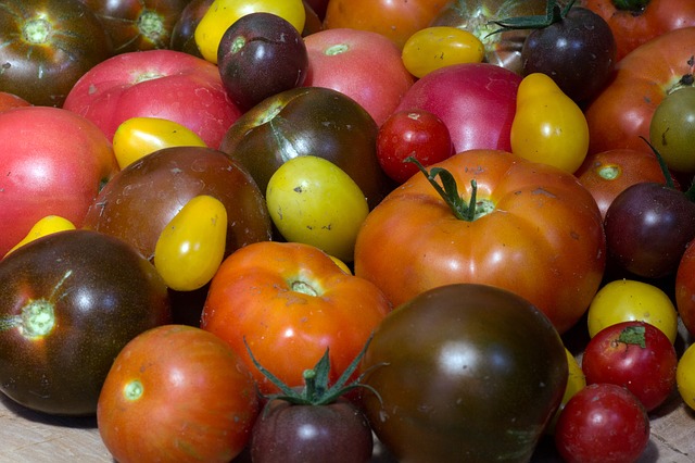 tomatoes-943424_640