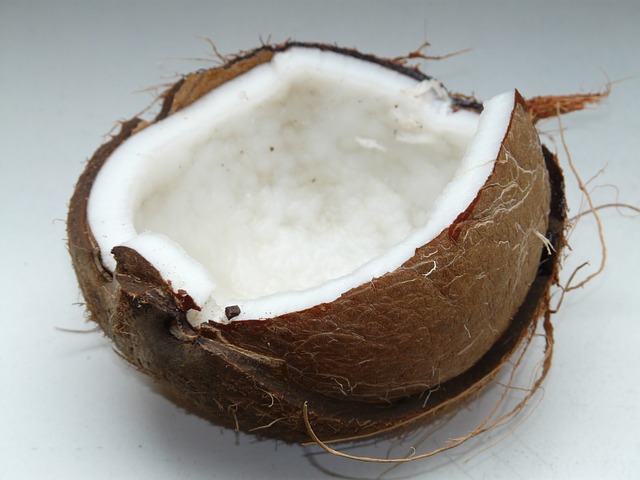 coconut-60395_640