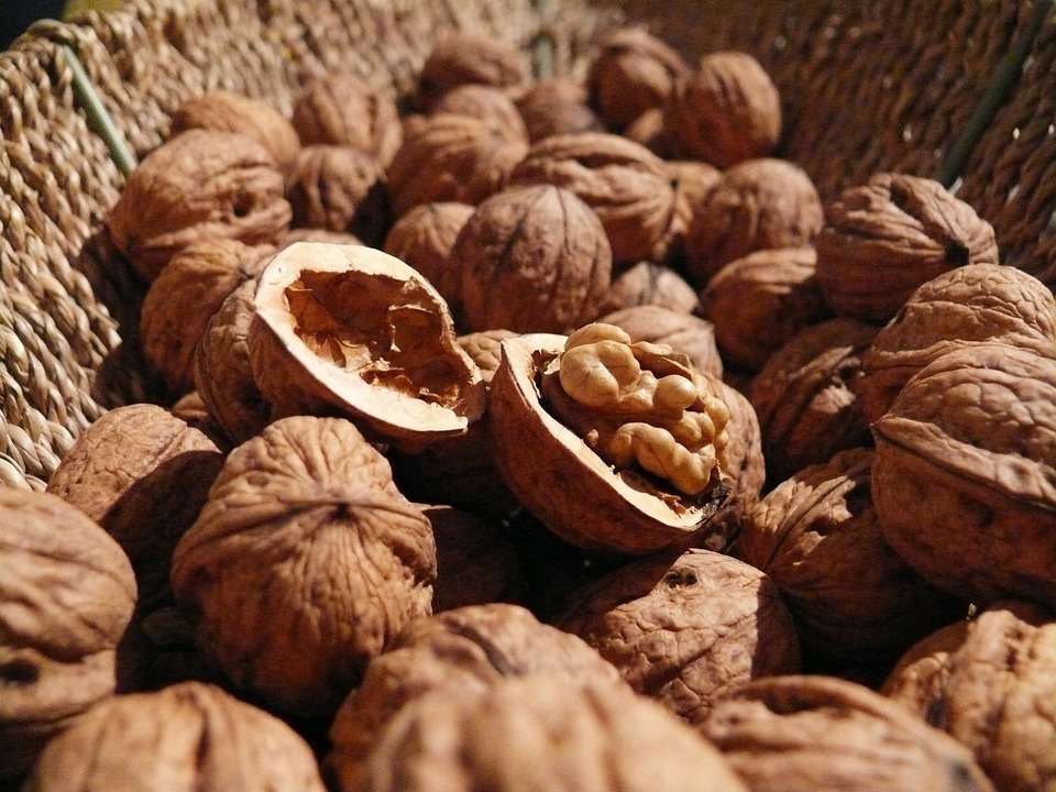 walnuts-498095_960_720