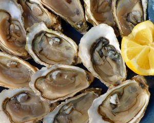oysters-1958668_1280
