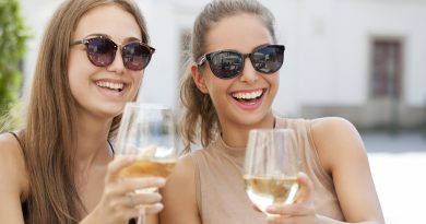 Portrait of two young brunettes having summer wine fun.