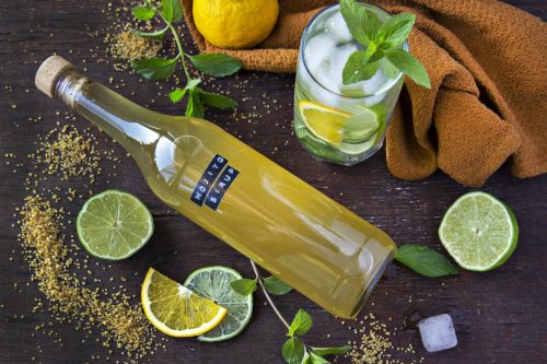 Mojito sirup. Foto: Dr.Oetker